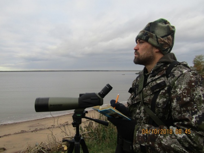 Орнитолог Альберт Брагин расскажет бёрдвортчерам о своей работе и редких птицах Архангельской области
