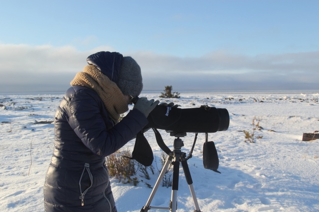 Установили фотоловушки, понаблюдали за тюленями и научились различать растения по запаху: зимние заботы юных лесничих заповедных деревень