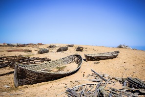 Остатки карбасов. Летний берег Белого моря
Фото Ильи Бармина